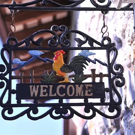 Guest house Fogolar Da Capo Orzano